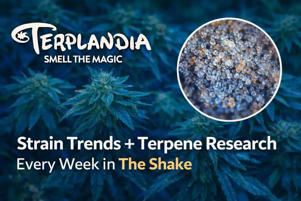 top strains - blue strains