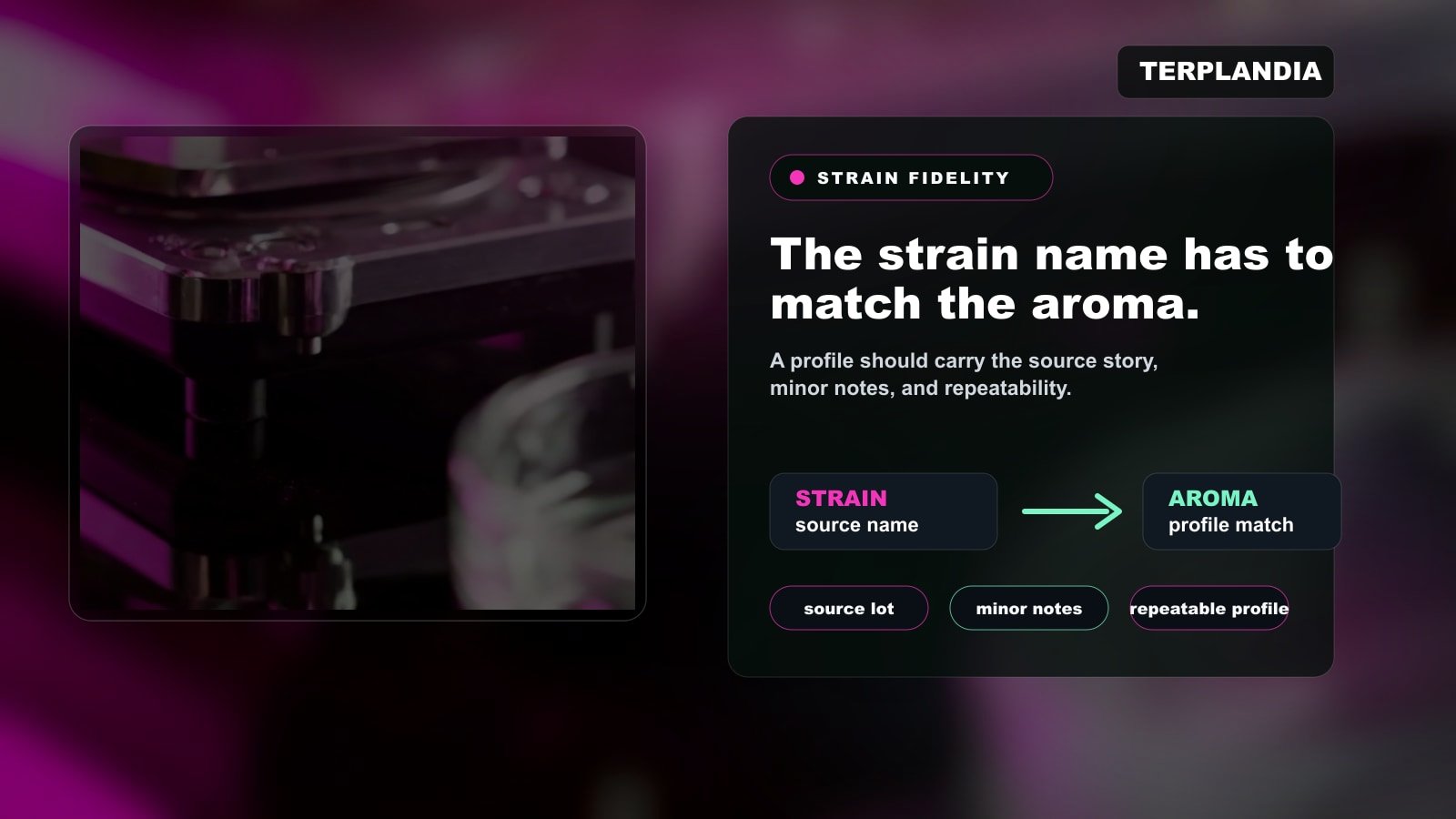 Cannabis-derived terpene strain fidelity visual showing a strain name connected to an aroma profile and source lot.