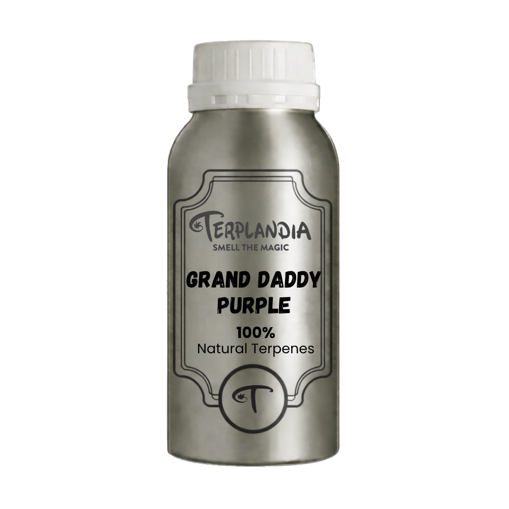 Grand Daddy Purple Terpenes