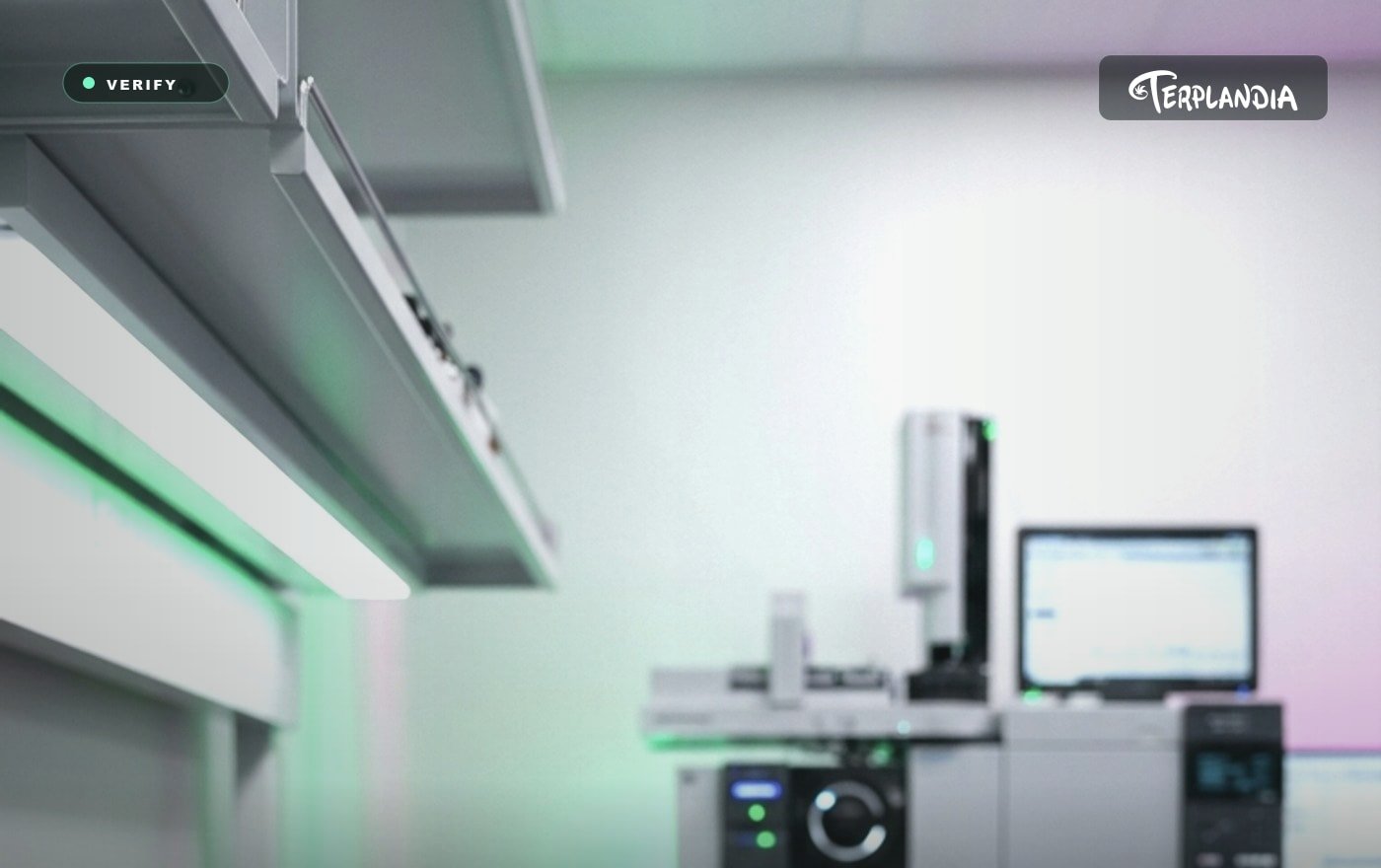 GC-MS lab testing and terpene COA verification for a cannabis-derived terpenes supply chain.