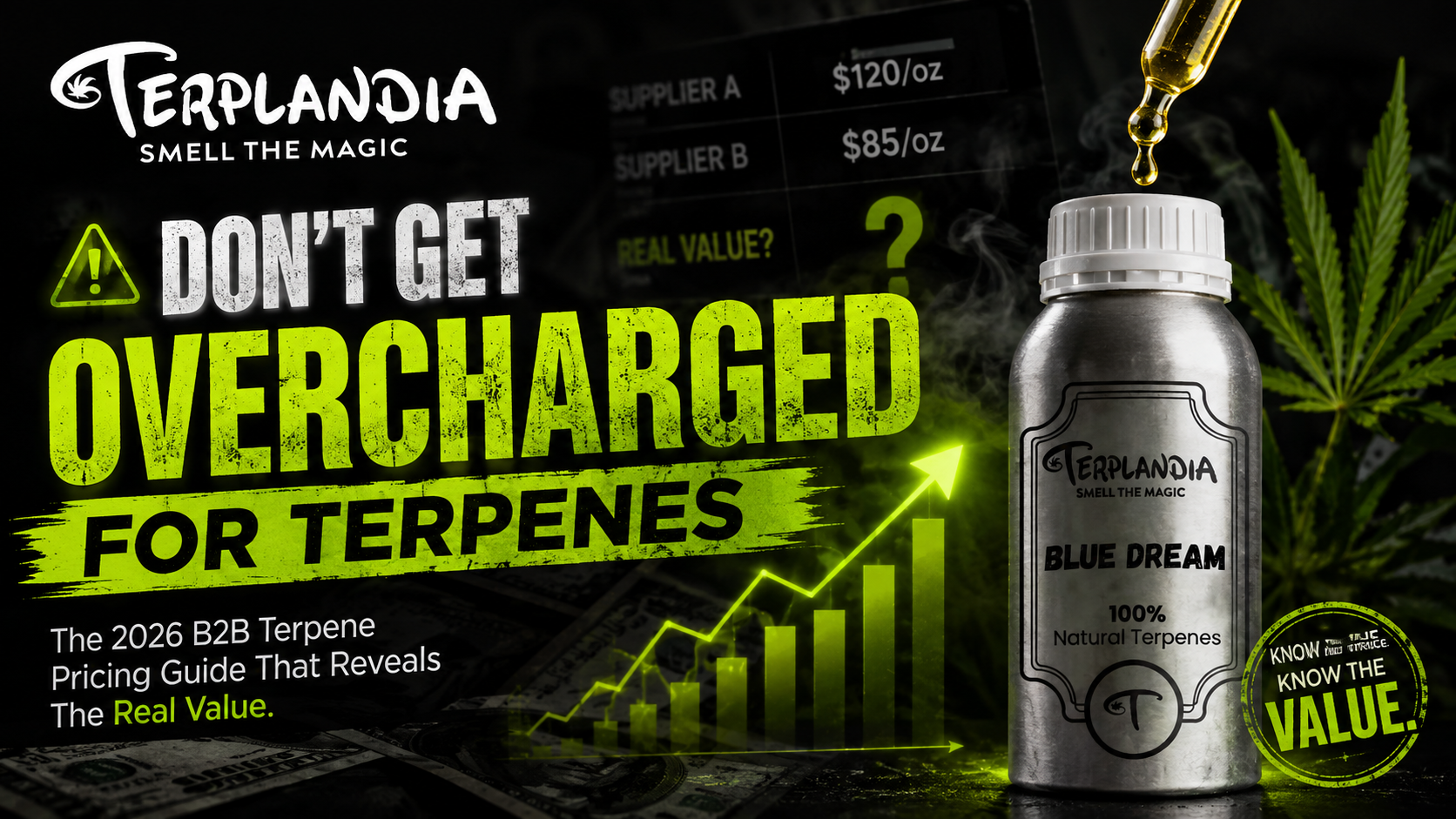B2B Wholesale Terpene Pricing Guide 2026