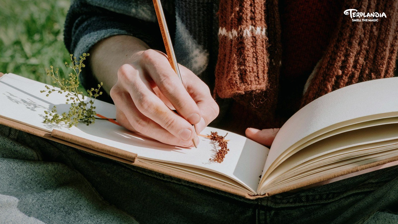 A Humboldt field notebook with botanical source notes for cannabis-derived terpene compliance review.