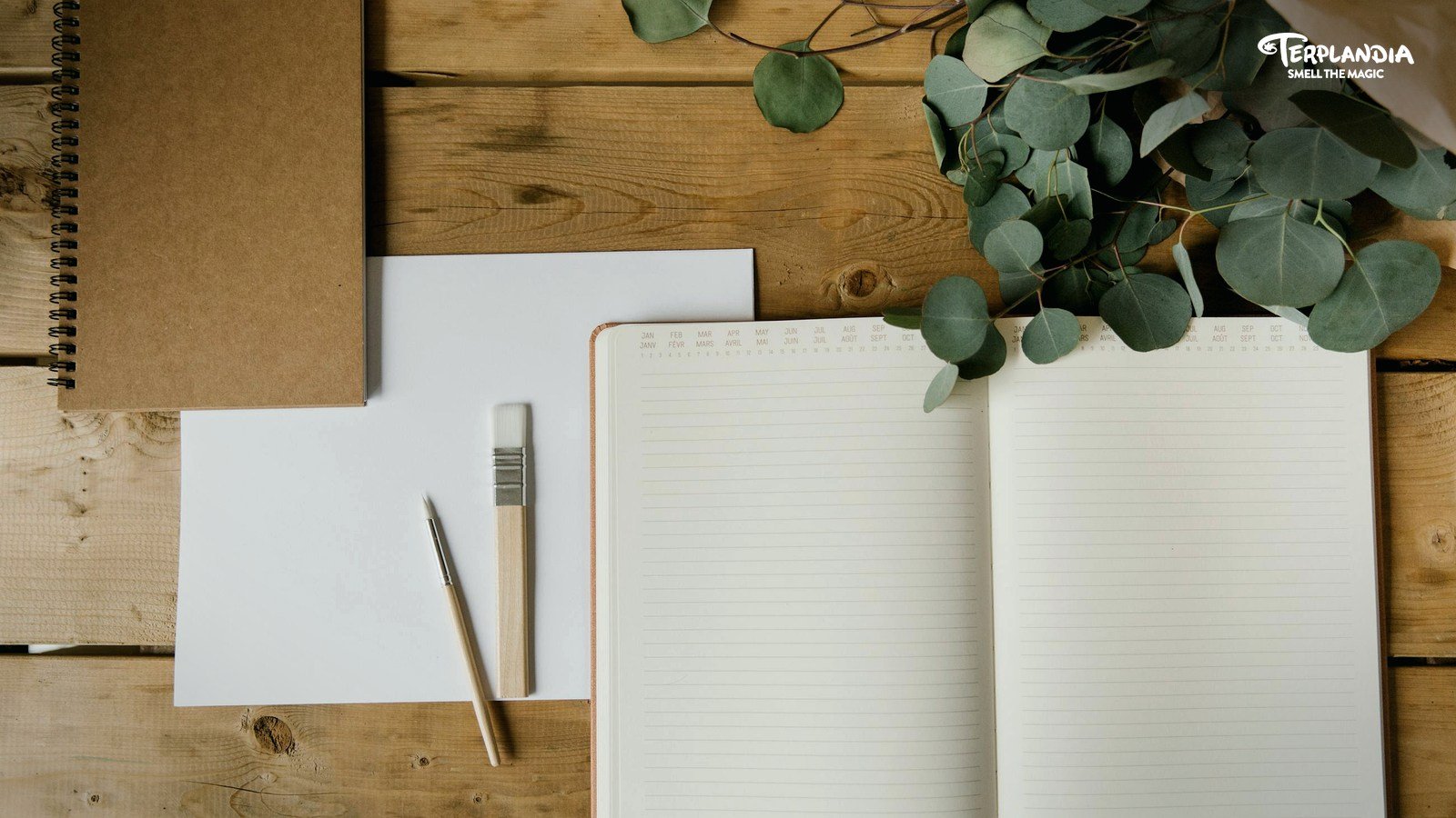 An outdoor Humboldt-style notebook and wood surface for terpene SDS record review.