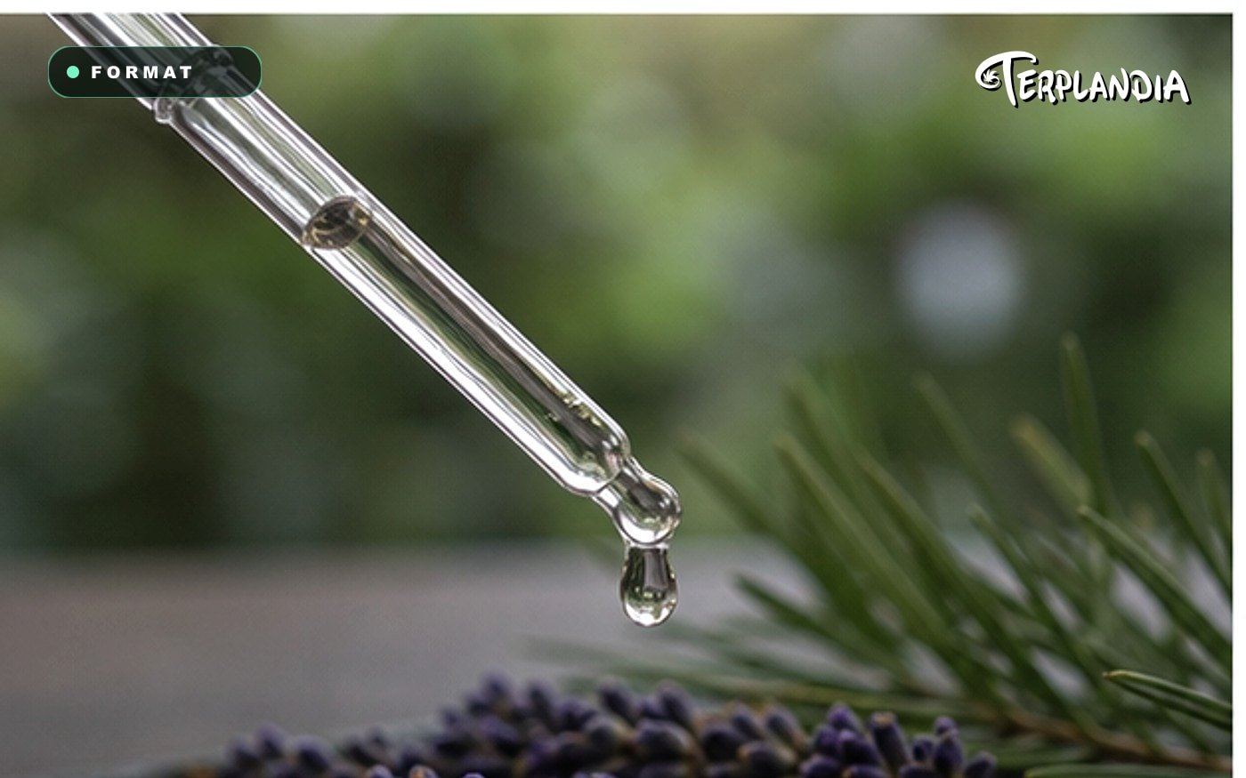 Clear cannabis terpene sample behavior check in a clean formulation context without amber liquid.