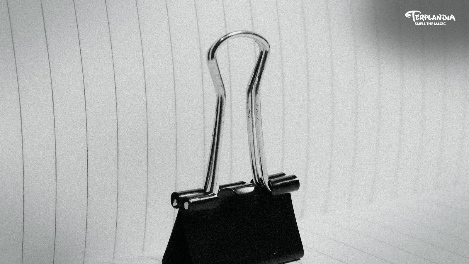 Clean binder clip and organized archive paper for terpene SDS document control