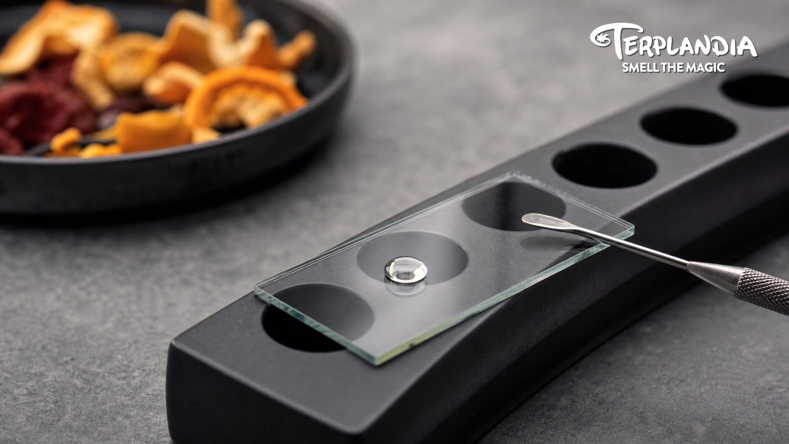 Zkittlez CDT format-fit bench with clear colorless sample droplet, glass slide, black ceramic holder, and stainless tools.