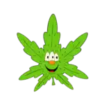 cropped-icono
