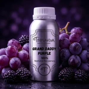Grand Daddy Purple Terpenes