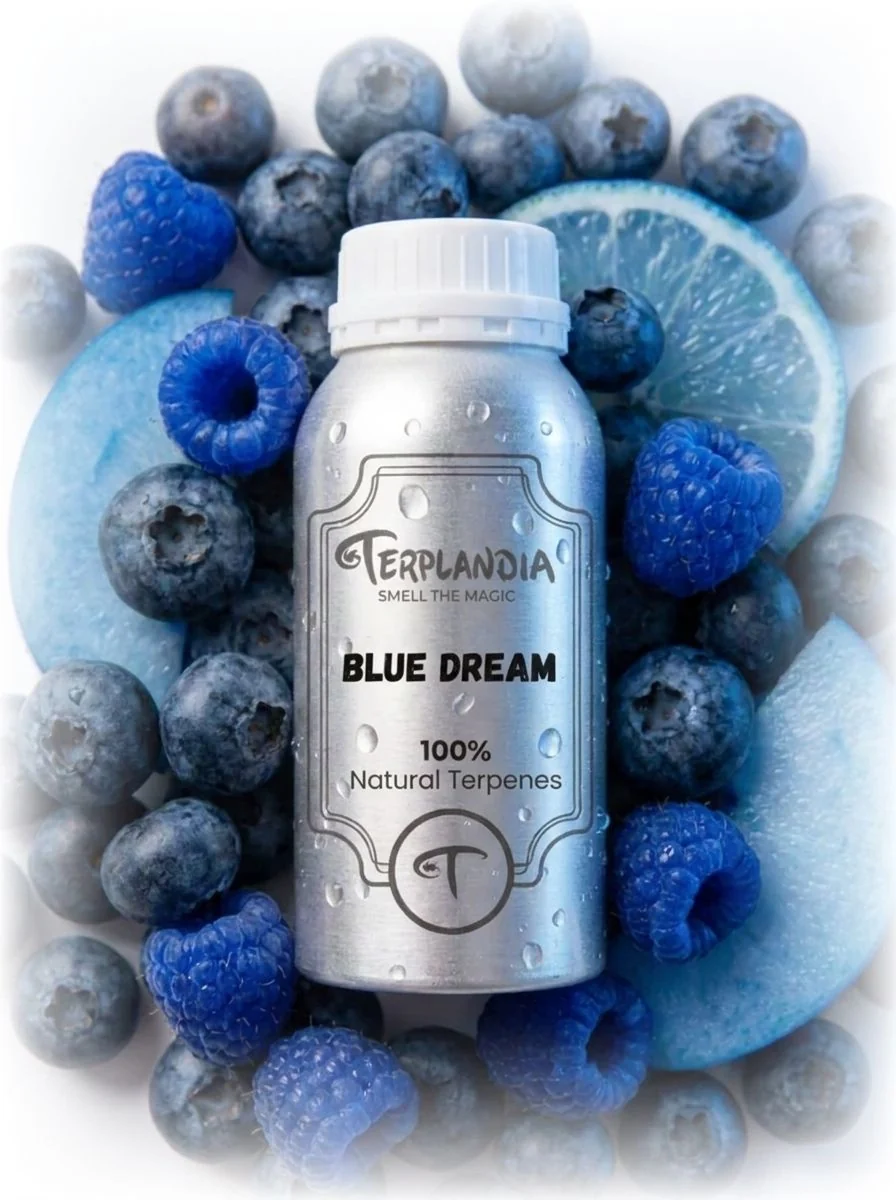 Terplandia Blue Dream cannabis-derived terpene bottle on fresh blueberries and citrus