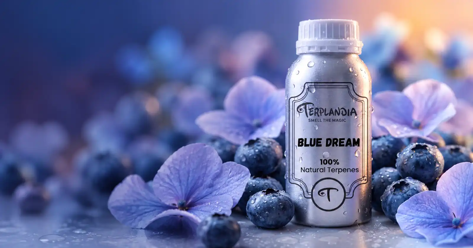 Blue Dream Banner Image